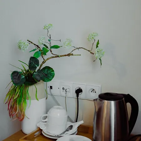 Hotel Bonsai
