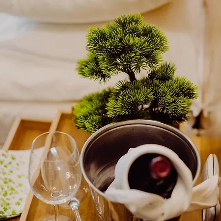 Bonsai Hotel Niemcza