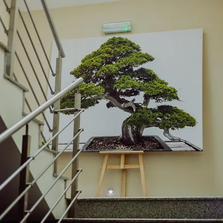 Bonsai Hotel Niemcza