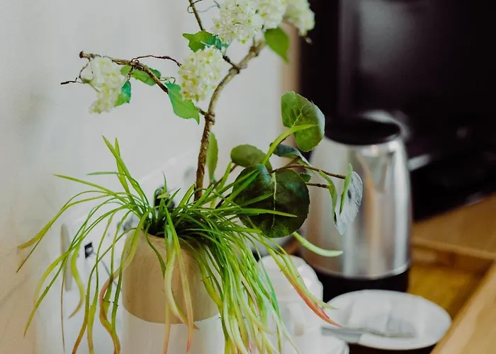 Bonsai Hotel Niemcza