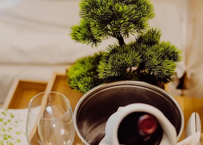 Bonsai Hotel Niemcza